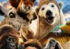 Robert Downey Jr. & Antonio Banderas in Dr. John Dolittle – A Film Not To Miss