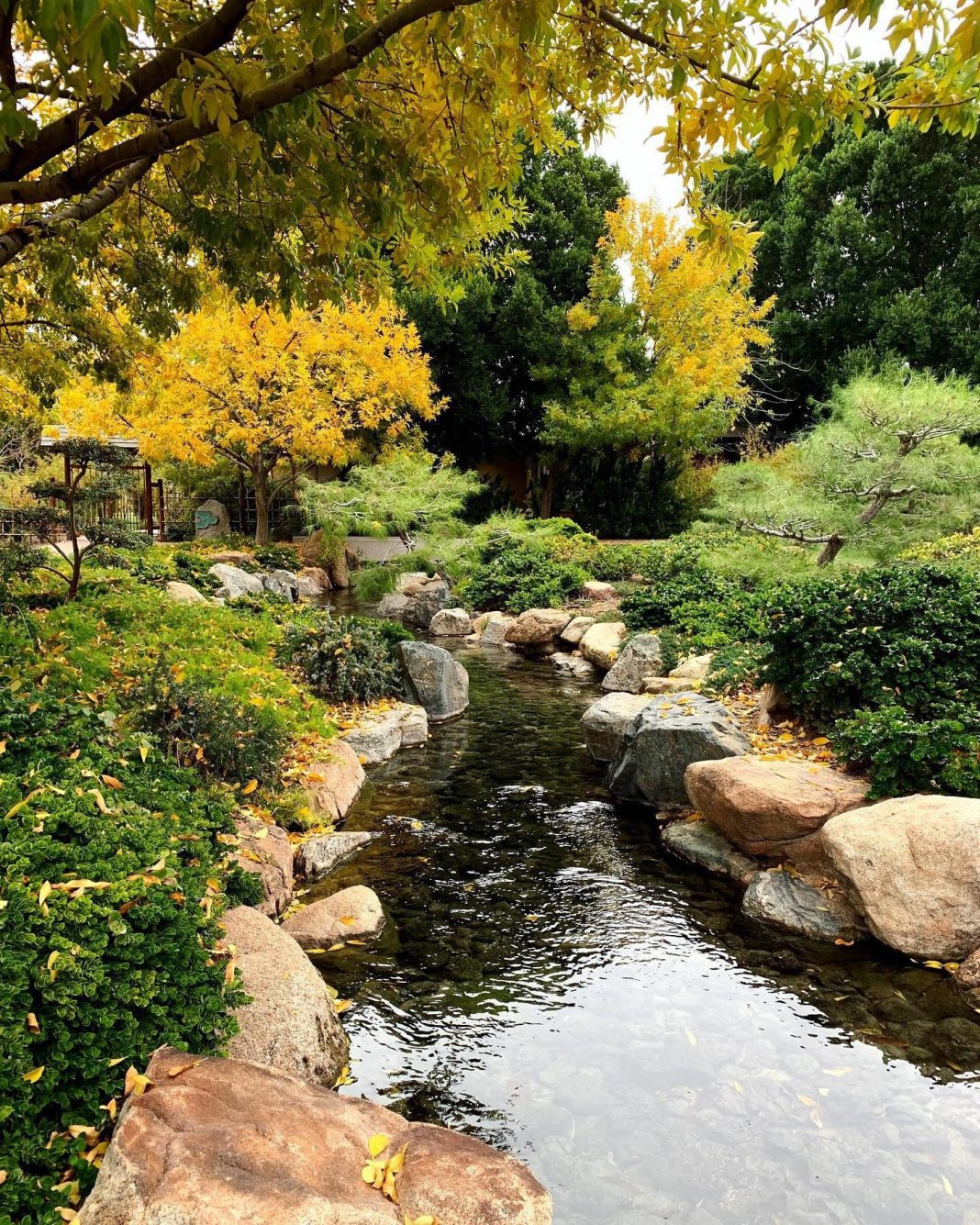 Find Some Peace and Enjoy a Day in a Beautiful Japanese Garden Right in the Heart of Phoenix