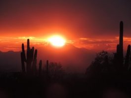Enjoy a Beautiful Outdoor Hike at White Tank Mountain Regional Park