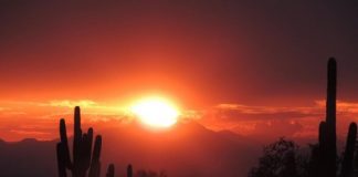 Enjoy a Beautiful Outdoor Hike at White Tank Mountain Regional Park