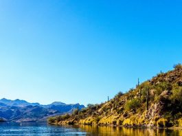 Have a Fun-Filled Day at Your Local Lake