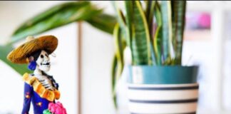 A Tiny Taste of Mexico City on 18th Street