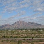 img_1908.jpg