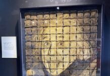 The Science of Ripley’s Believe It or Not