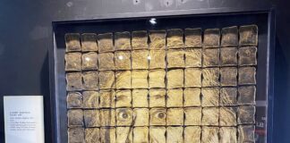 The Science of Ripley’s Believe It or Not