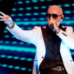 pitbull-0e55839d7a