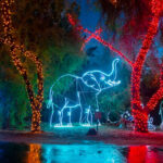 zoolights-phx-zoo-twitter
