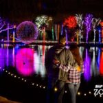 zoolightsum