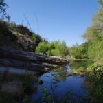 filename-east-the-sabino