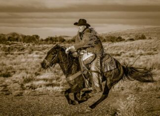 The Hashknife Pony Express Celebrate 64 Years Pony Express
