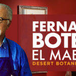 Botero-Header-Spanish-2